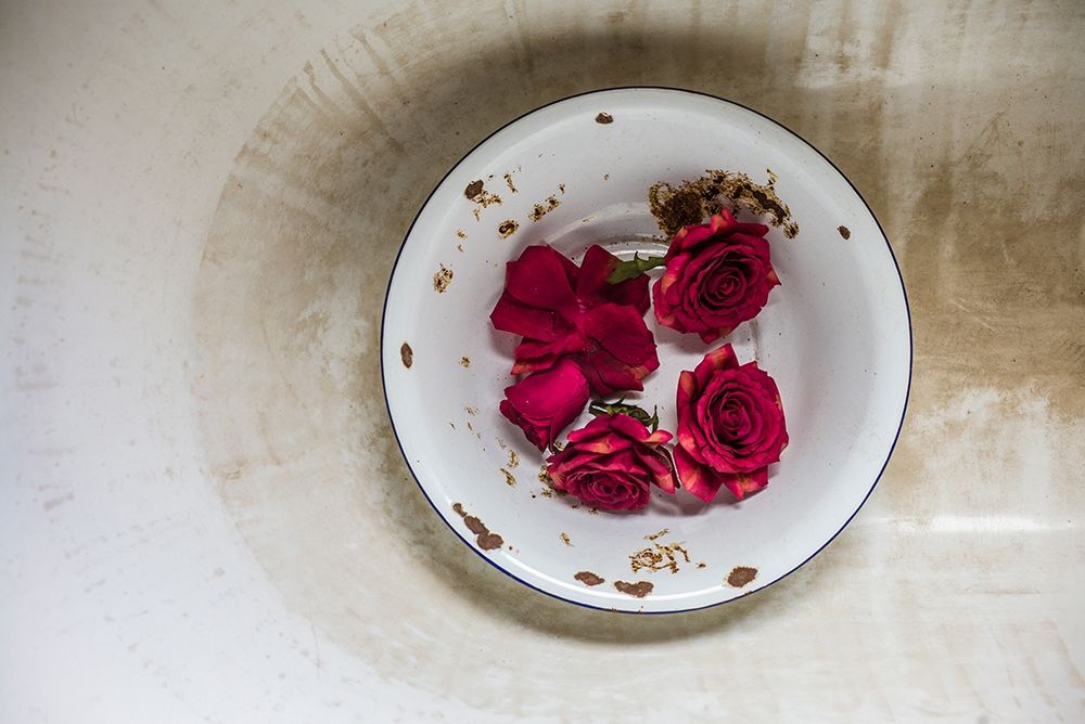 Canary Islands-Tenerife Island-La Orotava-roses in antique dish